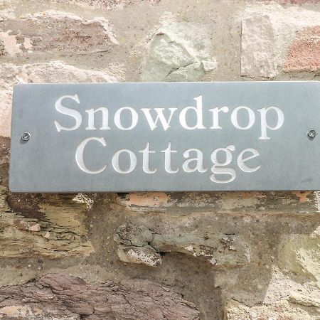 Snowdrop Cottage Laugharne Esterno foto